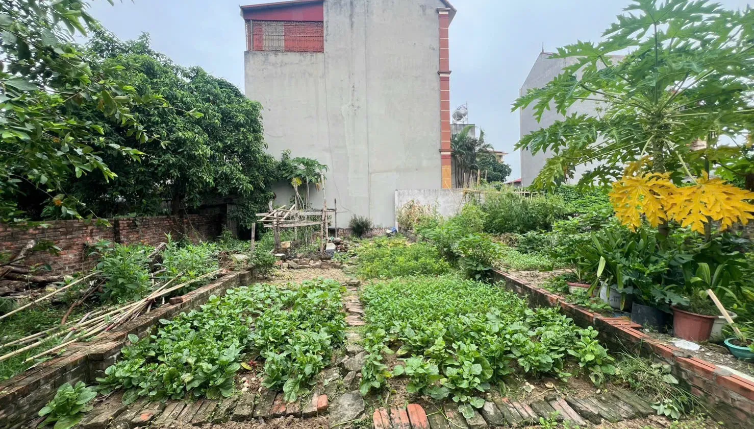 VIEW HỒ Ô TÔ VÀO ĐẤT 45m nhỉnh 3 tỷ... Bán đất tại Phúc Thịnh, Hà Nội 01