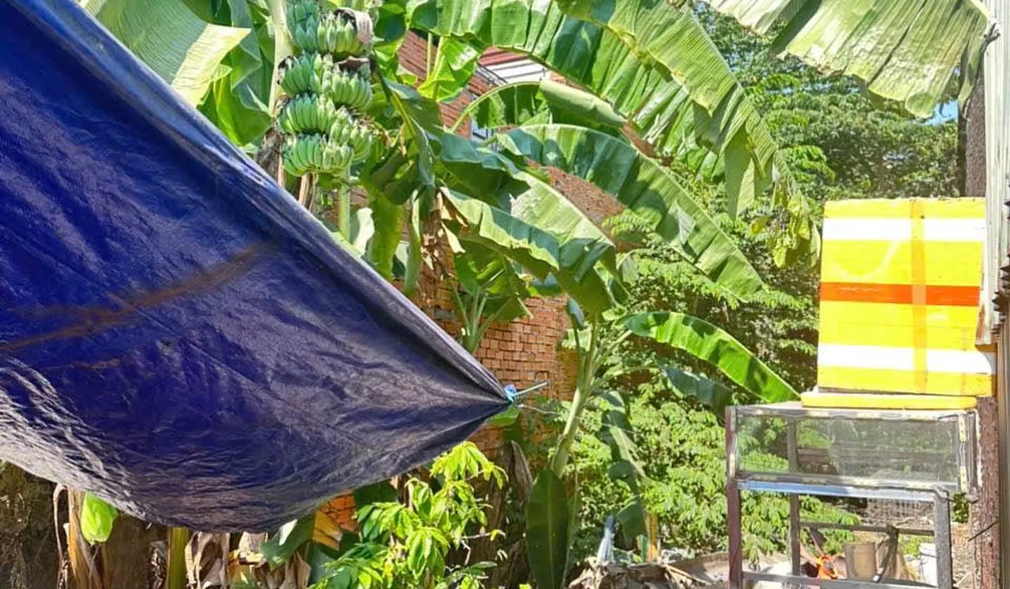 Căn Nhà Cũ Sát Mặt Tiền - Cơ Hội Vàng Cho Nhà Đầu Tư!... Bán nhà riêng tại Bình Hưng Hòa, Hồ Chí Minh 01