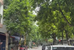 Cơ hội sở hữu nhà mặt phố phường Hà Đông diện tích vuông vắn, lợi nhuận cao... Bán nhà mặt phố tại Hà Đông, Hà Nội 02