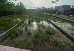 Đất nền diện tích 82m2 tại Trực Trang, An Trường, An Lão với mặt tiền đẹp, ngõ ô tô thuận tiện... Bán đất tại An Trường, Hải Phòng 08