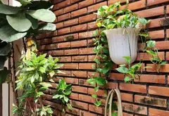 Nhà hiếm Sư Vạn Hạnh giá sốc, vị trí siêu đỉnh... Bán nhà riêng tại Hòa Hưng, Hồ Chí Minh 18