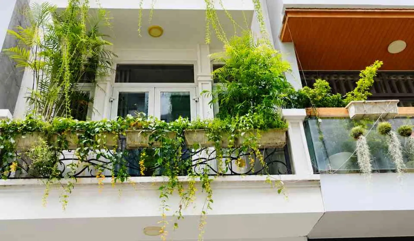Bán nhà 4 tầng diện tích 68m2 tại xã Nguyễn Hữu Dật, khu dân trí cao... Bán nhà riêng tại Tây Thạnh, Hồ Chí Minh 01