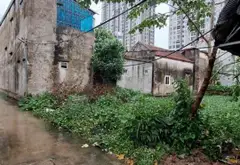 Bán đất thôn 2, Phụng Công, Văn Giang, diện tích 108.9 m2, giá 6 tỷ đồng... Bán đất tại Phụng Công, Hưng Yên 11