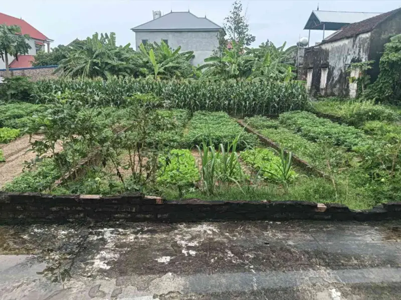 Đất Vuông Đẹp Full Thổ Cư Khu Dân Cư Sầm Uất... Bán đất tại Sóc Sơn, Hà Nội 01