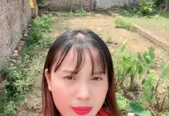 Bán đất 55,8m2 tại phường Ninh Xá, Bắc Ninh, ô tô vào tận đất... Bán đất tại Ninh Xá, Bắc Ninh 10