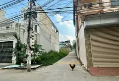 Thiện chí bán gấp đất 73m² tại Ấp Tre, Quang Minh, gần khu công nghiệp chỉ 3,x tỷ... Bán đất tại Quang Minh, Hà Nội 03