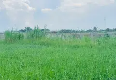 Bán 700m đất, Shr, Xuân Thới Thượng, 1,75 tỷ... Bán đất tại Bà Điểm, Hồ Chí Minh 04