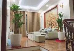 Biệt Thự Đơn Lập Hiếm Có Tại Khu Đô Thị Văn Phú – Đỉnh Cao Giá Trị Sống 201/203m2... Bán biệt thự, liền kề tại Hà Đông, Hà Nội 05