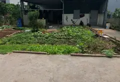 Bán đất thổ cư Phúc Lợi, mặt tiền 5m, diện tích 55.5 m², pháp lý cơ sở... Bán đất tại Long Biên, Hà Nội 02