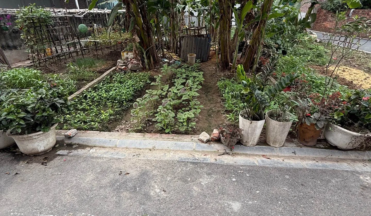 Đất vuông vắn hướng Đông Nam, đường ô tô rộng tại xã Thư Lâm, Hà Nội... Bán đất tại Thư Lâm, Hà Nội 01