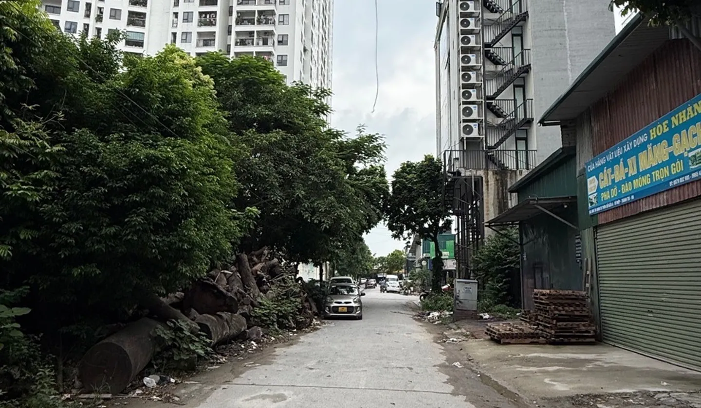 Đất phân lô ô tô tránh, view vườn hoa cực đẹp... Bán đất tại Thanh Trì, Hà Nội 01