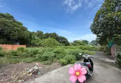 Cần bán đất hẻm xe hơi Lê Lợi, 280m chạy thẳng tới Song Hành QL22, 2ty hơn, (tin thật, giá thật )... Bán nhà riêng tại Hóc Môn, Hồ Chí Minh 02