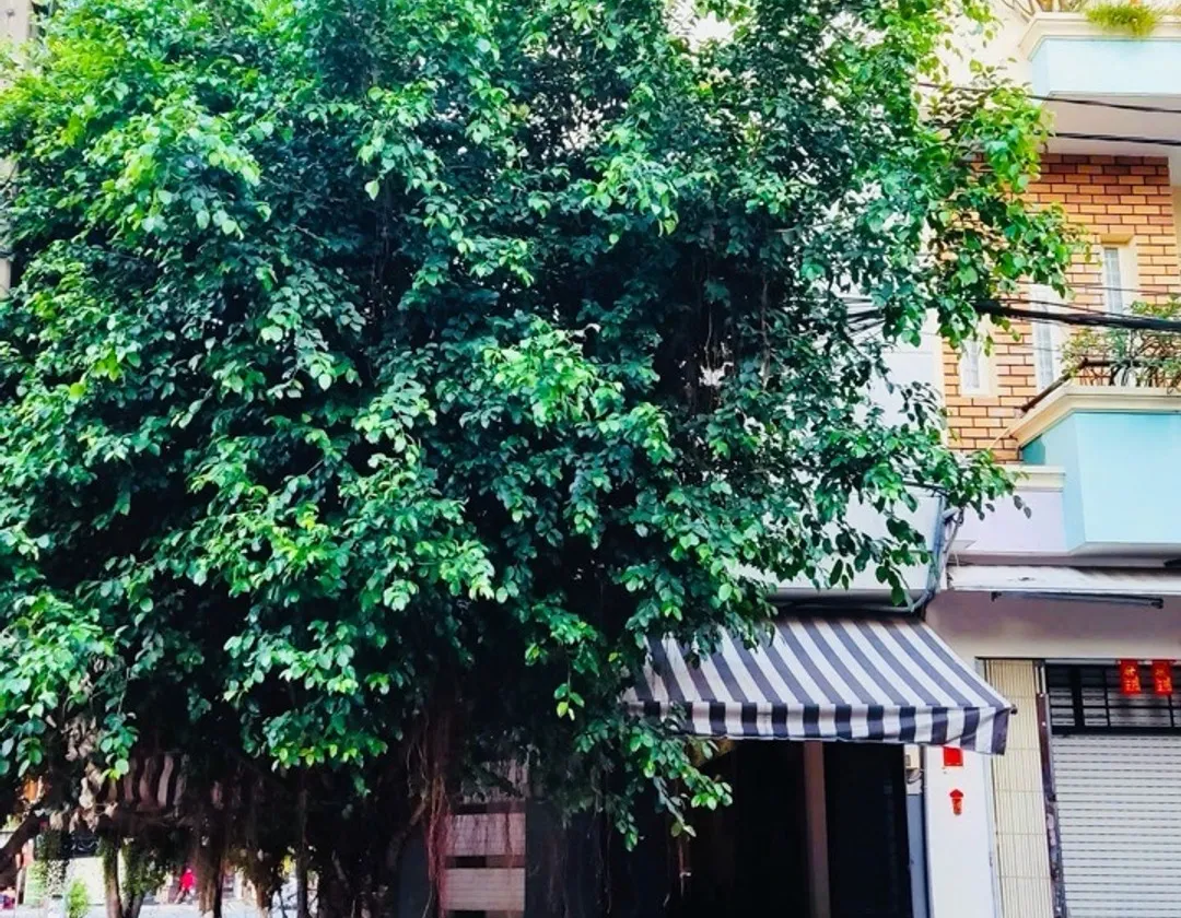 Nhà mặt phố lô góc 85m2 kinh doanh đỉnh giá tốt... Bán nhà mặt phố tại An Lạc, Hồ Chí Minh 01