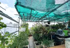 Bán nhà hẻm oto - 4 Tầng 45m2 4 Phòng Ngủ gần CV Gia Định - Sân Bay giảm còn 6.x tỷ... Bán nhà riêng tại Bình Lợi Trung, Hồ Chí Minh 08