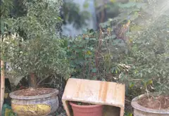 Bán đất 64m² hướng Đông Bắc tại phường Yên Nghĩa, Hà Nội giá 3,7 tỷ đồng... Bán đất tại Yên Nghĩa, Hà Nội 08