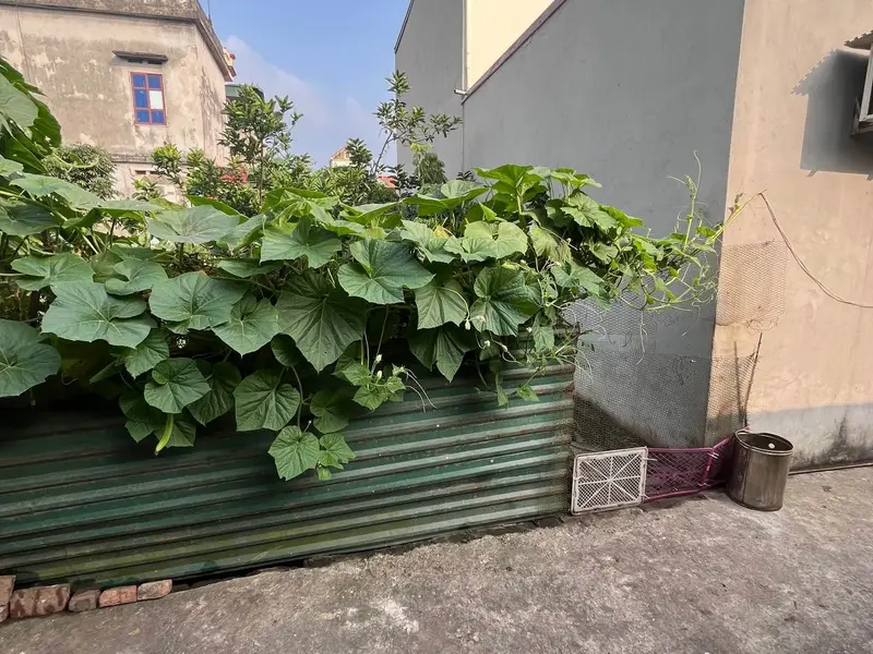 Cơ hội hiếm có sở hữu đất vàng giữa tâm dự án khu A Vin Olympic - Nhị Khê, Thường Tín... Bán đất tại Thường Tín, Hà Nội 01