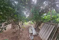 Cơ hội sở hữu lô đất mặt tiền rộng ô tô vào tận nơi tại Ngọc Động Bát Tràng với giá cực tốt... Bán đất tại Bát Tràng, Hà Nội 11