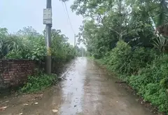 Đất đẹp phân lô ô tô vào, mặt tiền 10m tại Bắc Sơn... Bán đất tại Trung Giã, Hà Nội 03