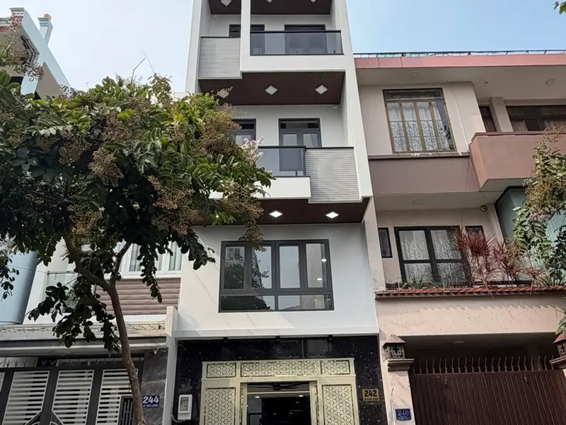 Nhà mặt tiền đường 15m, Vị trí đẹp khu họ Lê, xây mới 100%... Bán nhà mặt phố tại Phú Thạnh, Hồ Chí Minh 01
