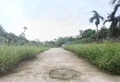 Bán đất thôn 5 Kỳ Sơn, xã Việt Khê, Thủy Nguyên, mặt tiền 4.6m, ô tô vào đất... Bán đất tại Lê Ích Mộc, Hải Phòng 01