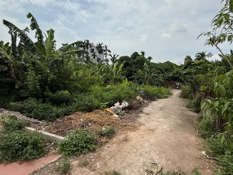 🔥🔥🔥Chỉ hơn 4 đồng có lô 103m², Mt 5m, pháp lý chuẩn, giao dịch ngay... Bán đất tại Văn Giang, Hưng Yên 01