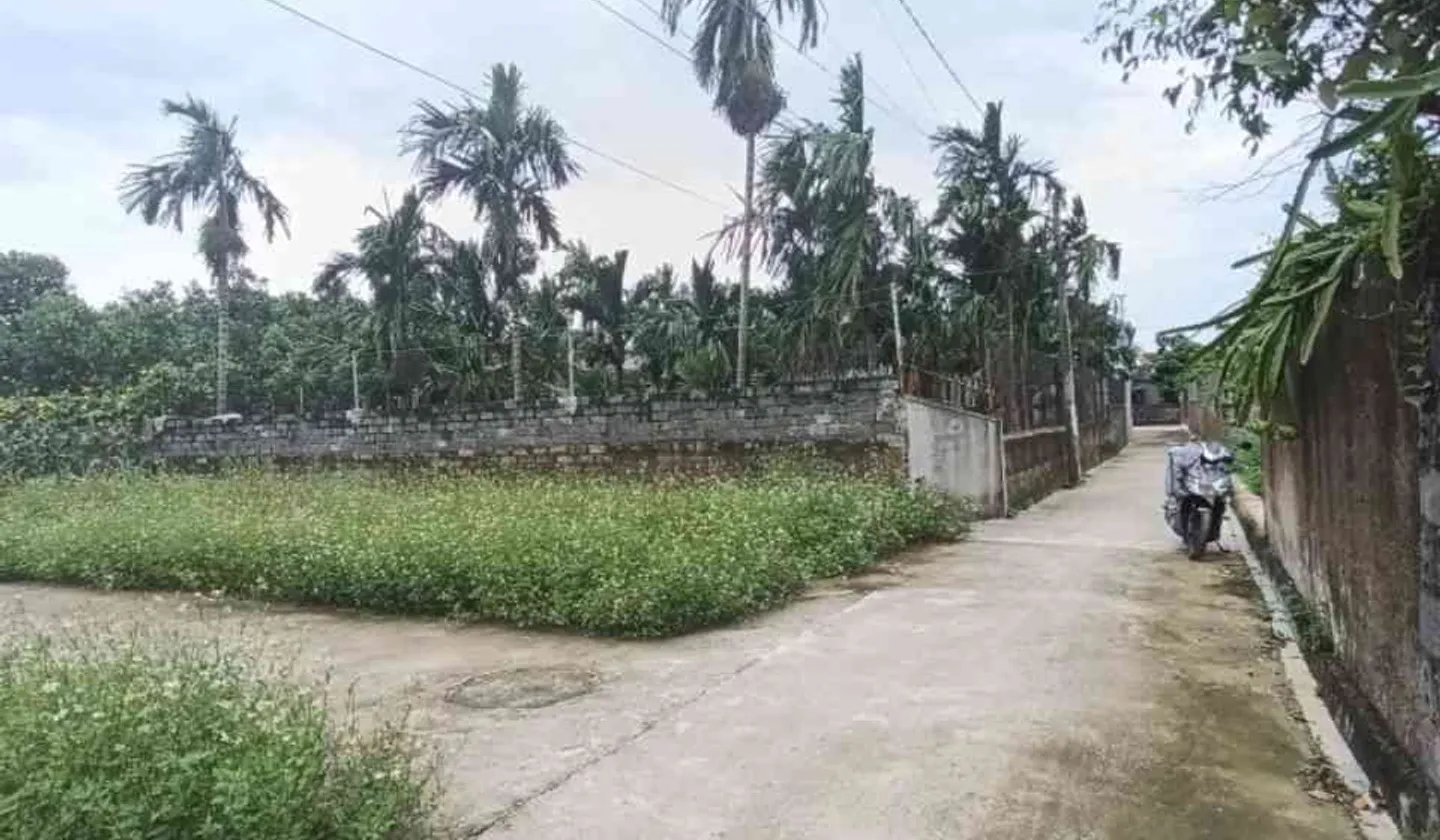 Lô góc siêu đẹp mặt ngõ rộng tại Lê Ích Mộc Hải Phòng... Bán đất tại Lê Ích Mộc, Hải Phòng 01