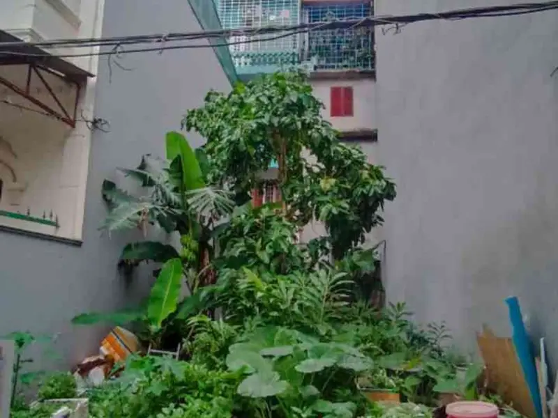 Đất mặt tiền rộng 5m tại phường Lê Thánh Tông, thuận tiện ô tô đỗ cửa... Bán đất tại Ngô Quyền, Hải Phòng 01