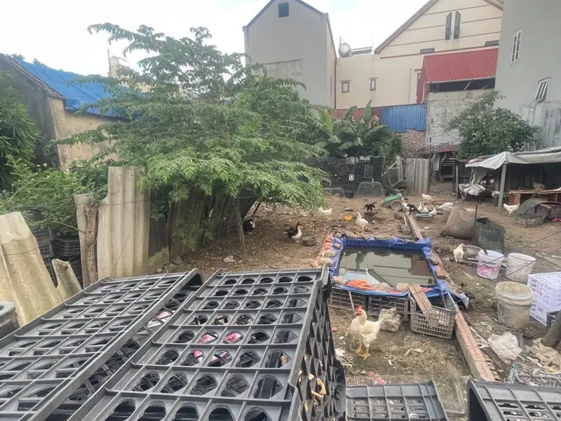 Cơ Hội Sở Hữu Đất Vàng Thôn Yên Ninh – Giá Tốt, Vị Trí Đẹp, Sẵn Sổ Đỏ... Bán đất tại Nội Bài, Hà Nội 01