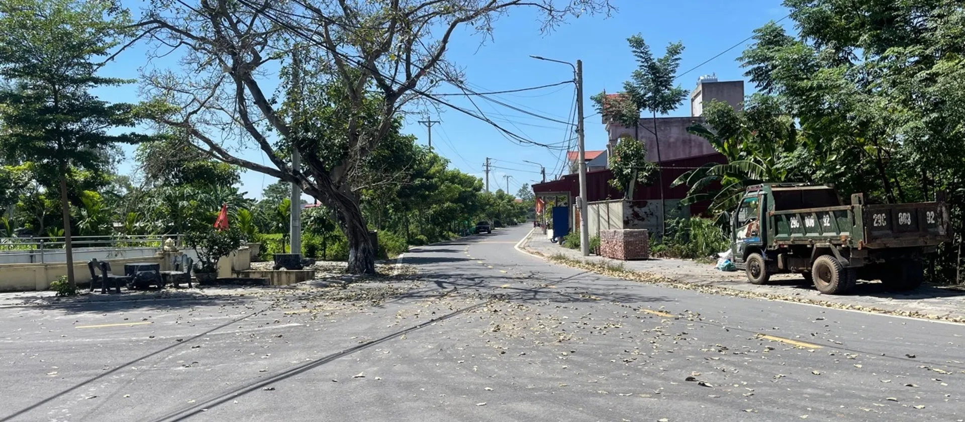 Cơ Hội Sở Hữu Đất Vàng Vị Trí Đẹp Tại Phường Sơn Nam, Hưng Yên... Bán đất tại Sơn Nam, Hưng Yên 01