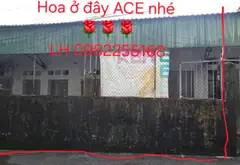 Cơ hội vàng sở hữu nhà mặt tiền rộng khu vực Võ Cường, giá tốt khó đón đầu... Bán nhà riêng tại Võ Cường, Bắc Ninh 09