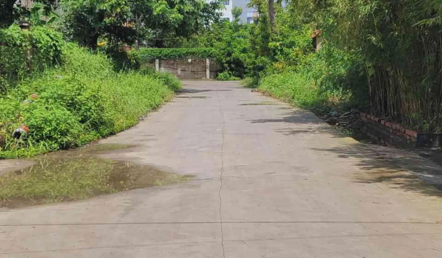 Nhà xưởng Thạnh Lộc, Quận 12, 870m2 (13 x 70), 48.8 tỷ... Bán nhà mặt phố tại An Phú Đông, Hồ Chí Minh 01
