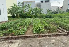 Đất đẹp 50m2 tầm view thoáng, gần đại học tài chính... Bán đất tại Quang Minh, Hà Nội 05