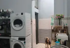 🏡 NHÀ MỚI ĐẸP KENG (80M2) CHỈ 5TY - HXH THÔNG TỨ TUNG - GẦN CẦU VƯỢT TÂN THỚI HIỆP Q.12.... Bán nhà riêng tại Tân Thới Hiệp, Hồ Chí Minh 04