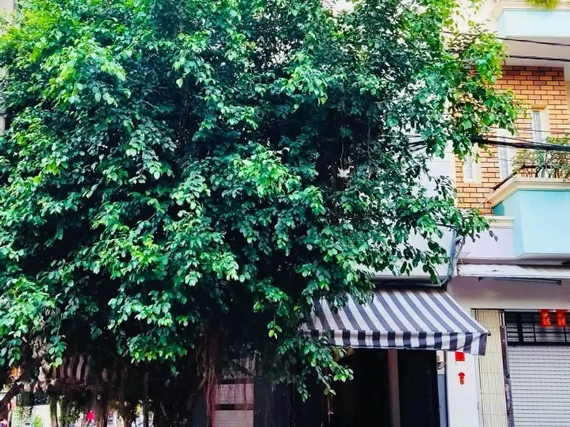 Nhà mặt phố lô góc 85m2 kinh doanh đỉnh giá tốt... Bán nhà mặt phố tại An Lạc, Hồ Chí Minh 01