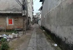 Đất Vàng Yên Lãng - Ôtô Vào Nhà, Giá Đầu Tư... Bán đất tại Yên Trung, Bắc Ninh 03