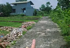 Đất ô tô vào tận nơi, trung tâm Sóc Sơn giá đầu tư sốc... Bán đất tại Sóc Sơn, Hà Nội 02