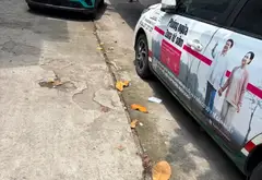 Đất vàng Lý Thường Kiệt ngang 7m hiếm có, giá tốt cơ hội đầu tư tuyệt vời... Bán đất tại Tân Hòa, Hồ Chí Minh 05