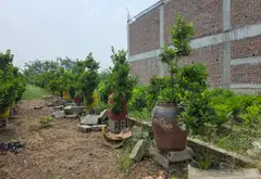 Đất Phân Lô Gần Vành Đai 4 - Khu Phố Sầm Uất xã văn giang... Bán đất tại Tân Hưng, Hưng Yên 03