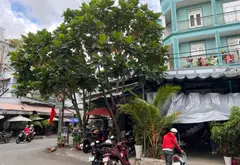 Nhà 2 mặt tiền, 4 tầng, 167m2 tại Quận, giá 25 tỷ... Bán nhà mặt phố tại Bình Phú, Hồ Chí Minh 05