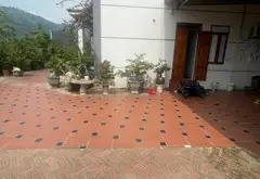 Bán nhà vườn tặng đất 638m2 tại Lương Đình - Trung Giã, mặt tiền 38m... Bán nhà riêng tại Trung Giã, Hà Nội 11