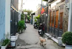 Bán nhà riêng chính chủ tại 1/ phạm thị Hy
Bà điểm... Bán nhà riêng tại Bà Điểm, Hồ Chí Minh 01