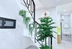 Nhà mặt phố Nguyễn An Ninh - 2 phòng ngủ, tiện kinh doanh... Bán nhà mặt phố tại Bình Lợi Trung, Hồ Chí Minh 02