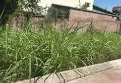 Bán nhanh 88m² đất thổ cư tại Trại Mít - thôn Hiền Lương - xã Nội Bài. Ô tô đỗ cửa - giá tốt.... Bán đất tại Nội Bài, Hà Nội 02