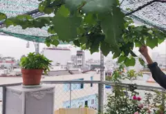 Bán nhà 5 tầng lô góc mặt tiền rộng tại phường 3, quận Gò Vấp... Bán nhà riêng tại Hạnh Thông, Hồ Chí Minh 03