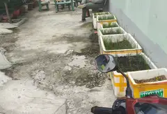 Cơ hội vàng sở hữu đất góc lô hiếm tại phường Trung Mỹ Tây... Bán đất tại Trung Mỹ Tây, Hồ Chí Minh 01
