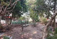 Cơ hội sở hữu đất vàng mặt tiền rộng tại Phú Cường, giá tốt duy nhất... Bán đất tại Kim Anh, Hà Nội 07