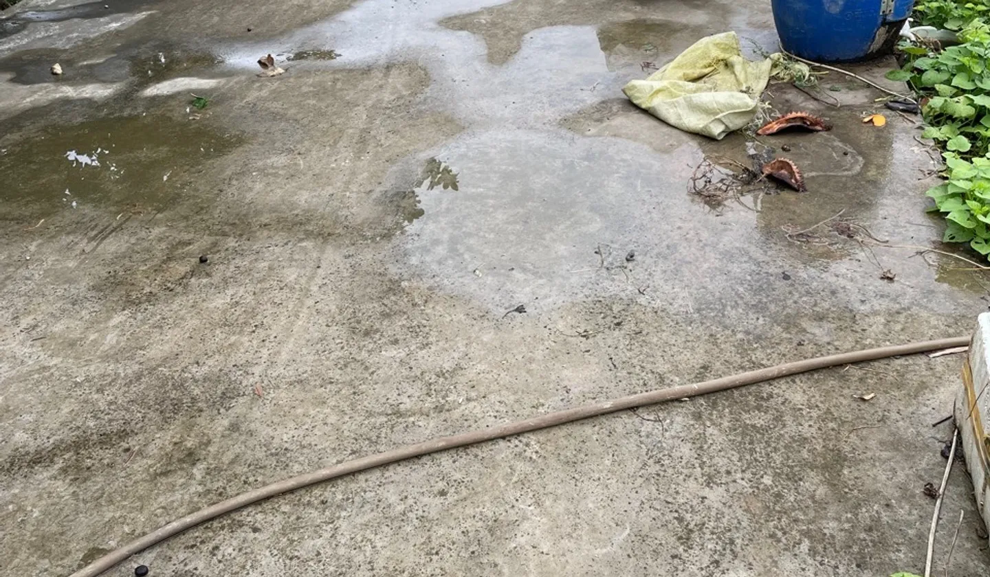 Bán đất thôn Hầu Lâm Động Thủy Nguyên diện tích 58,1m2 hướng Nam pháp lý rõ ràng... Bán đất tại Thiên Hương, Hải Phòng 01