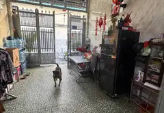 Bán nhà 2 tầng diện tích lớn tại Tân Phú, gần AEON Mall... Bán nhà riêng tại Tân Sơn Nhì, Hồ Chí Minh 12