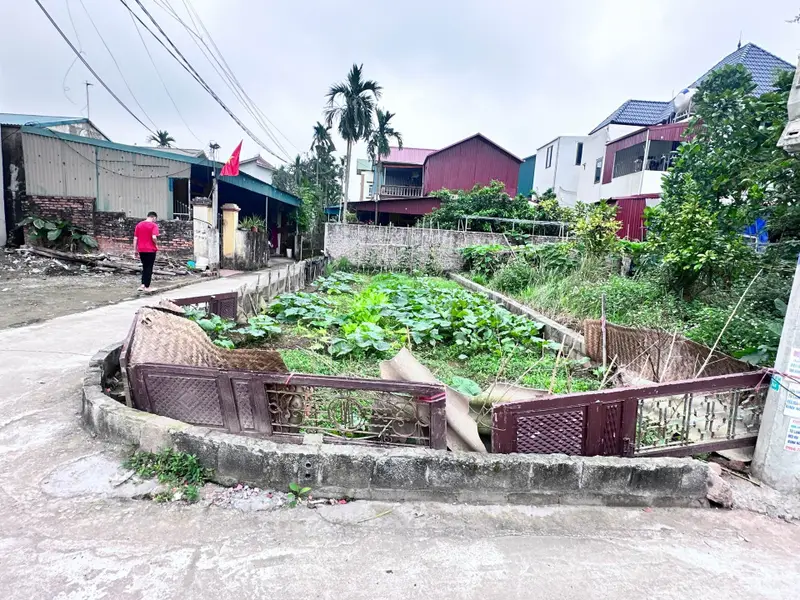 Đất Văn Giang mặt tiền rộng - Cơ hội đầu tư siêu tiềm năng... Bán đất tại Văn Giang, Hưng Yên 01