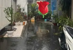 Bán nhà 2 tầng 33m2 tại quận Tân Phú giá 4.35 tỷ... Bán nhà riêng tại Tân Sơn Nhì, Hồ Chí Minh 02